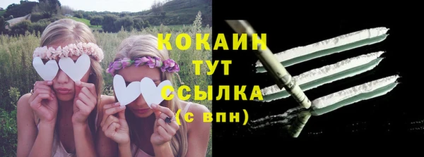 трава Шарыпово