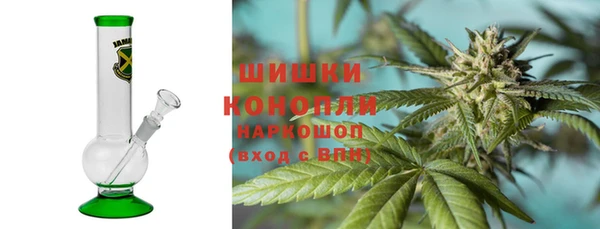 ПСИЛОЦИБИНОВЫЕ ГРИБЫ Алексин