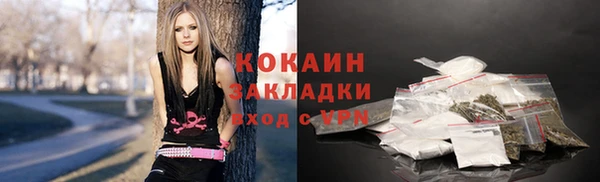 тгк Алзамай