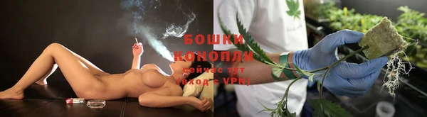 ГАЛЛЮЦИНОГЕННЫЕ ГРИБЫ Алексеевка