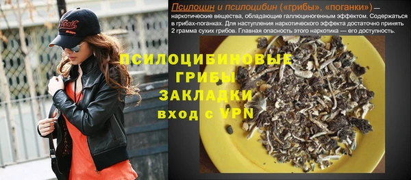 тгк Алзамай