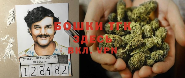 ПСИЛОЦИБИНОВЫЕ ГРИБЫ Алексин