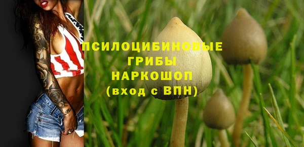 ПСИЛОЦИБИНОВЫЕ ГРИБЫ Алексин