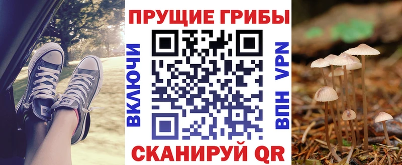 Галлюциногенные грибы GOLDEN TEACHER  Калтан 